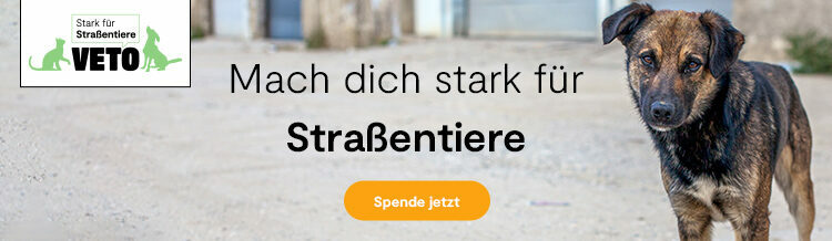 cropped-cropped-Stark-fuer-Strassentiere-750x218-1.jpg